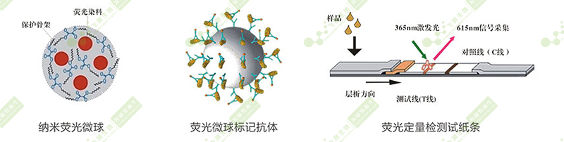 時間分辨熒光納米微球標記技術