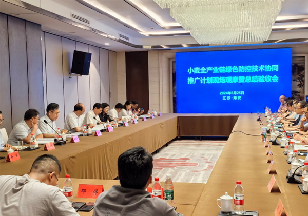 小麥全產業鏈綠色防控技術協同推廣計劃